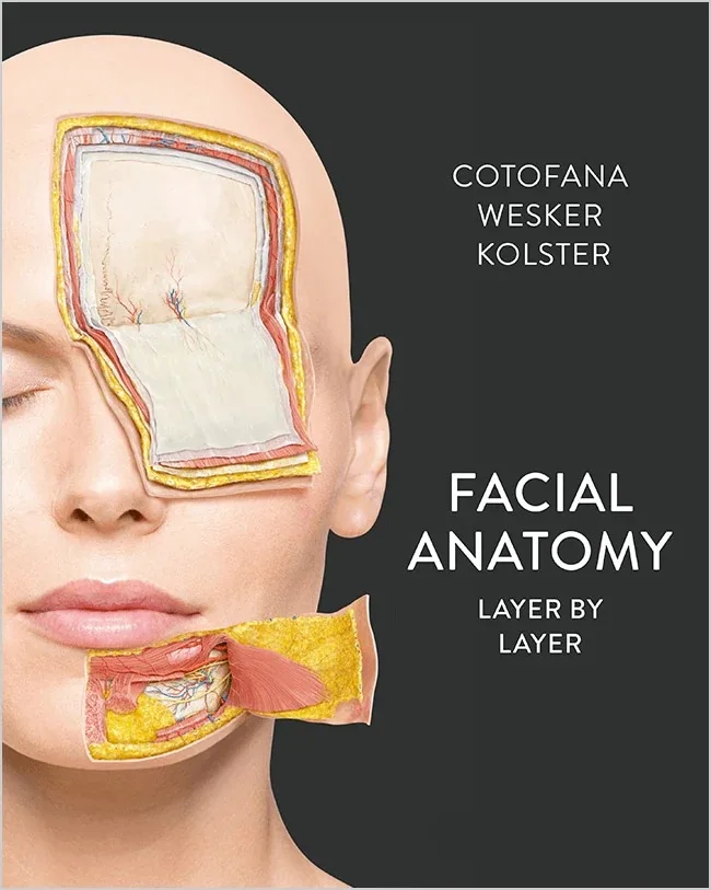 Facial Anatomy: Layer by Layer