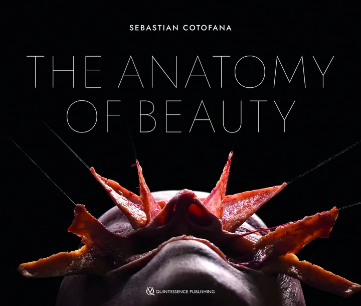 The Anatomy of Beauty
